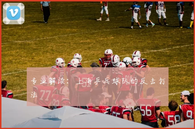 专业解读：上海乒乓球队的反击打法