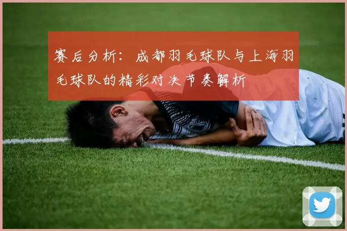 赛后分析：成都羽毛球队与上海羽毛球队的精彩对决节奏解析