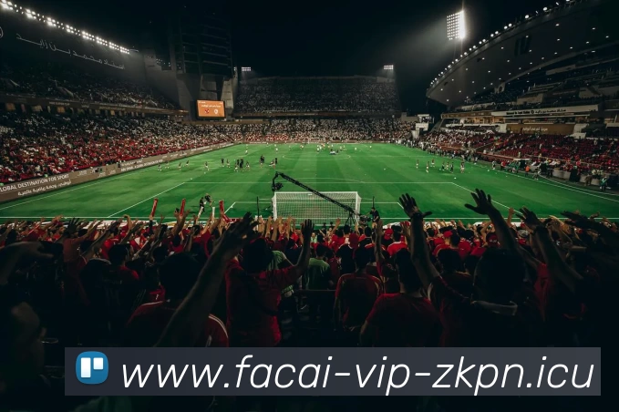 星空体育平台生态图